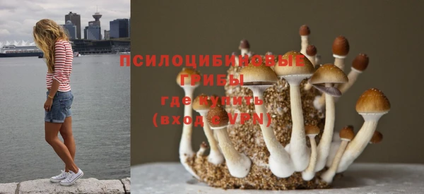 2c-b Бугульма