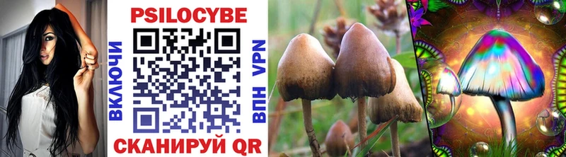 Псилоцибиновые грибы Psilocybine cubensis  Гагарин 